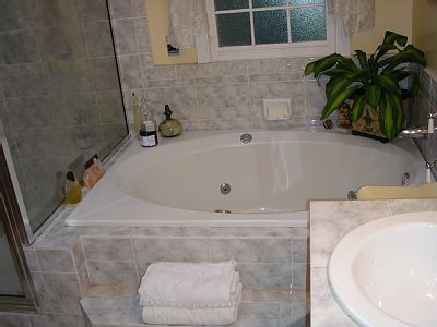 Master bath with shower and jacuzzi