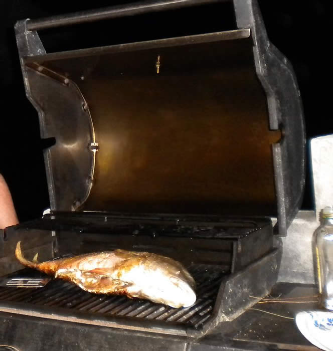 North Caicos condo rental - 10 Pound Snapper on your Gas Grill - yes it tasted oh so good