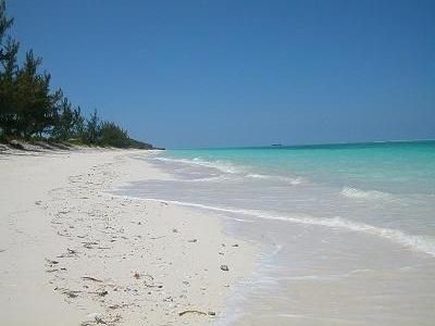 North Caicos condo rental - Hollywood Beach - looking West