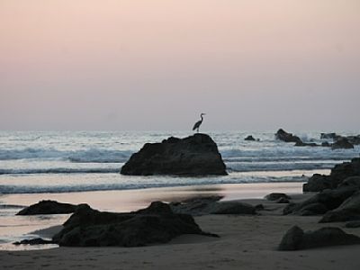 Your own endless ocean