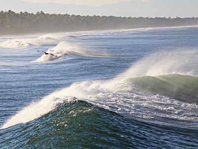 Fabulous surfing swells