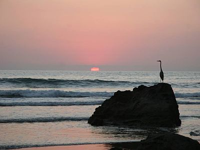sunset beach