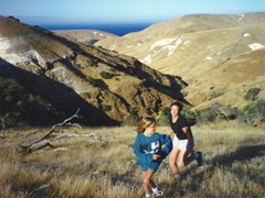 Wild animals race across the hillsides...