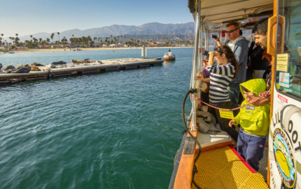 santa-barbara-boat-rides-4